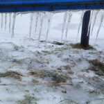 Winterimpressionen am Hafen