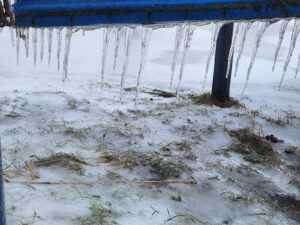 Winterimpressionen am Hafen